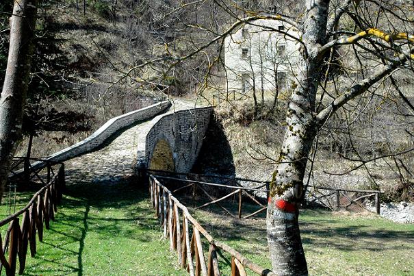 LA MIA VALLOMBROSA